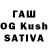 Галлюциногенные грибы Psilocybine cubensis goldsteinist