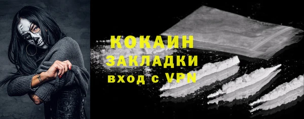 спиды Богданович