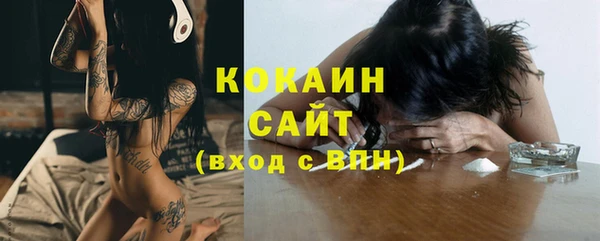 спиды Богданович