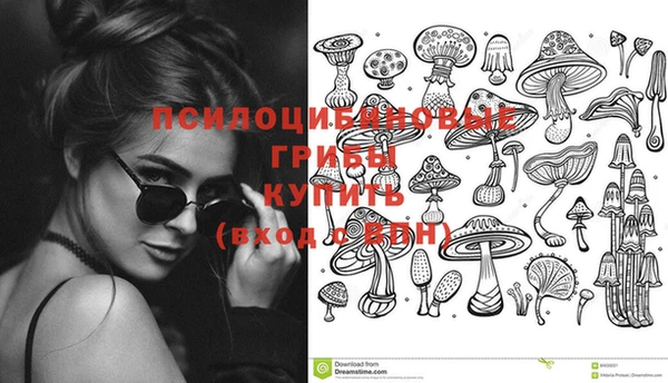 Альфа ПВП Богородицк