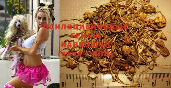спиды Богданович
