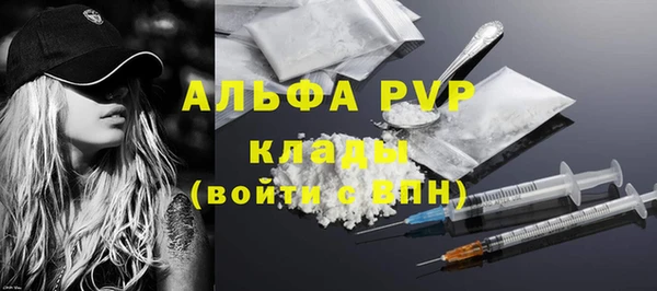 спиды Богданович